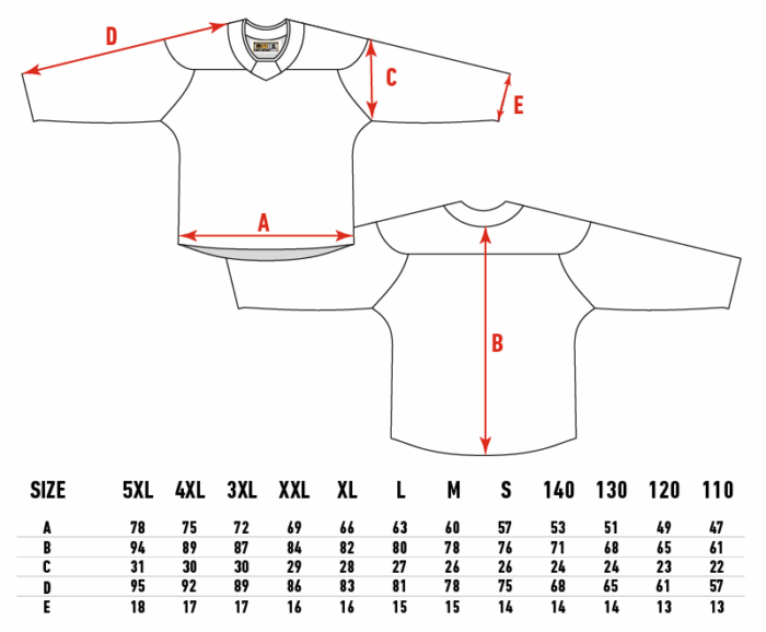 Heimtrikot 2025/2026 – Erwachsen (Authentic) – Bild 2